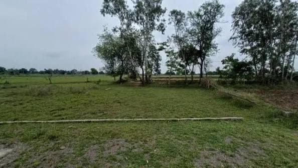 उपजाऊ कृषि भूमि / फार्म हाउस जमीन बिकाऊ (चक रोड)