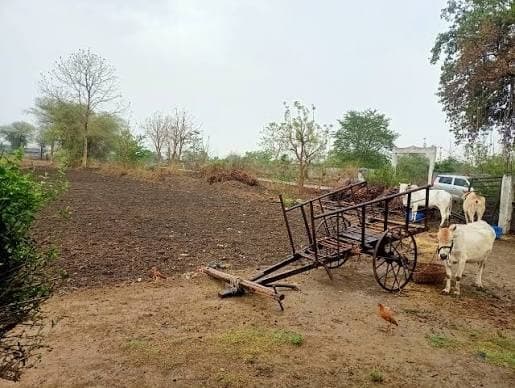 सघन उपजाऊ कृषि फार्म भूमि बिकाऊ (चक रोड मुख्य मार्ग)